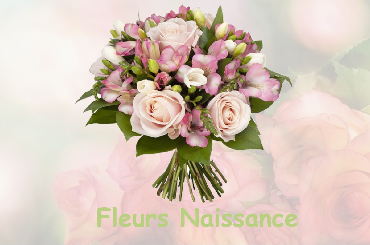 fleurs naissance SELLIERES