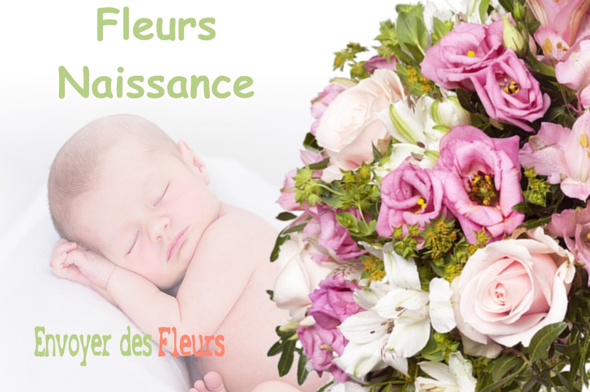 lIVRAISON FLEURS NAISSANCE à SELLIERES