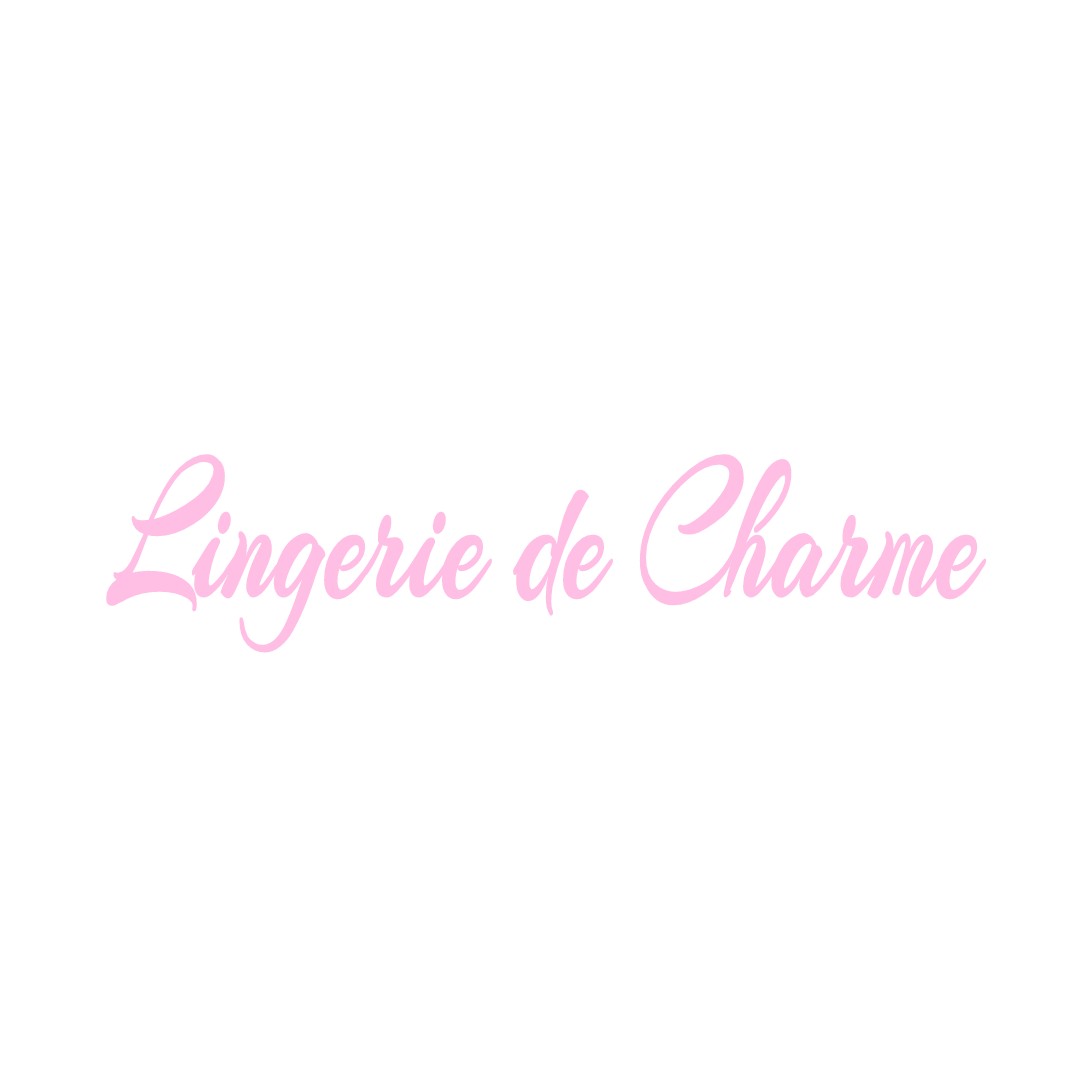 LINGERIE DE CHARME SELLIERES